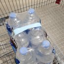 구로-고척-구로-1770 | 코스트코 이그제큐티브 멤버십 리워드 포인트 현금화 방법 2023.08.18(금)