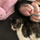 도넛&케이크 이미지