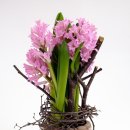 어르신 원예활동 이미지