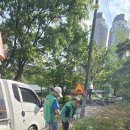 온천2동-21 이미지