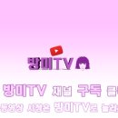 재미를버는사람들