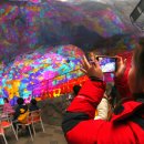 광명동굴 내 이미지