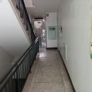 신가초교 이미지