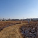 성호로 8길 이미지