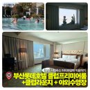 오너스클럽 야외수영장 | 롯데호텔 부산 클럽프리미어룸 후기｜클럽라운지, 야외수영장, 객실뷰 총정리