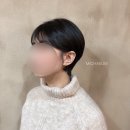 뿌리마춤 | 건대입구미용실,건대 숏컷, 숏컷볼륨매직후기