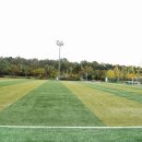 향양리체육공원 축구장 이미지