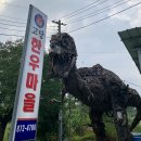 고당다한우마을 이미지