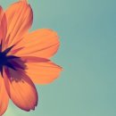 엔젤여관 이미지