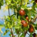 함평농장 이미지