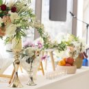 더리센츠호텔 이미지