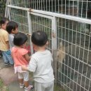 아인농장 이미지