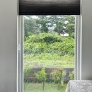 씨유순천에코점 | 여름, 제주도 여행 둘째날 : 명진전복, 여름문구사, 길가 수국, 송당무끈모루, 안도르, 스누피가든...