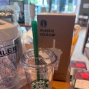 상남동237 | 스타벅스 사이렌 미니콜드컵 300ml 구매후기