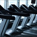 1981골프앤휘트니스 이미지