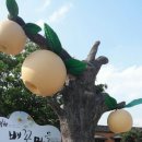 배꽃가든 이미지