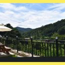 홍천욜로와 | 홍천펜션 욜로와 펜션에서의 아름다운 휴식, 최고의 추억!