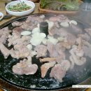 개동농장 이미지