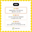 느린학습자의 이해 이미지