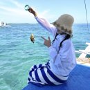 SD수영장 | 세부 호핑투어 단독 스노쿨링 프라이빗 여행 코스 후기