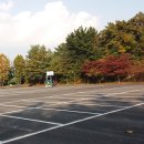 월평 사이클장 이미지