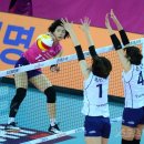 핑크 스파이더 이미지