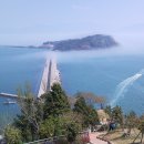 오동도 Daum카페