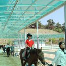 계명석사태권도장 이미지