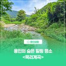 굴암 | [용인생활] 용인의 숨은 힐링 명소 &lt;묵리계곡&gt;