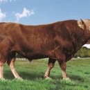 덕풍농장 이미지