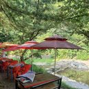 이집이좋겠네 이미지