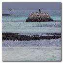 바다, 보다(See The Sea) #4305 이미지