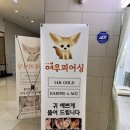 여우피어싱 이미지