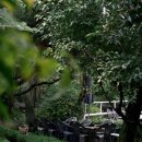 숲속의 둥지 | 청주 낭성면 맛집 숲속의둥지, 자연을 벗삼은 외곽 고깃집