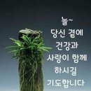 일요일 카톡인사 이미지 이미지