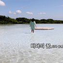 바다의꿈