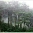 봉화민박 이미지