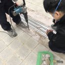 안암초등학교 이미지