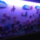 월드24사우나 이미지