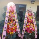 정연식당