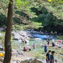지리산기사식당 | 남원 지리산 뱀사골계곡 천은사 서울 경기출발 당일치기 여행