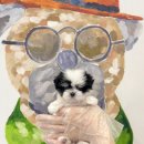 제주 애견 아가야 이미지