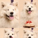 베네핏스튜디오 이미지