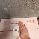 태경농장 | 태경농장 대극천후기