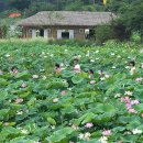 연꽃펜션 이미지