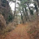 운전면허시험장 (새별오름방면) 이미지