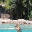 드림월드타운 이미지