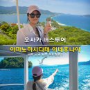 고미발톱 | 오사카 버스투어 교토 근교 일본 3대 절경 아마노하시다테 이네후나야 일일 당일치기 여행 코스
