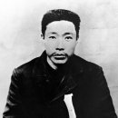 대한체육관 2도장(태권도) 네이버블로그