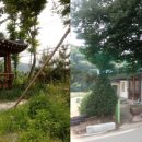 시골살이마을 네이버블로그